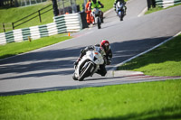 Advanced Group White Bikes